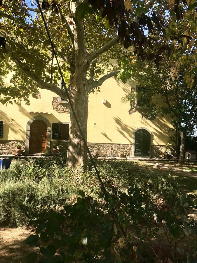 Giardino Di Sara Apartment Cortona Bagian luar foto